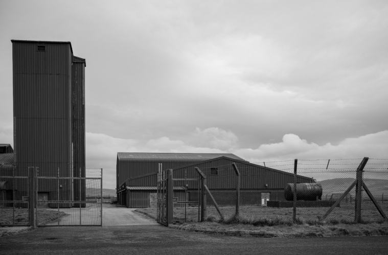 Photo: Thomas Dittrich